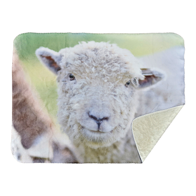 Chenille & Sherpa Blankets