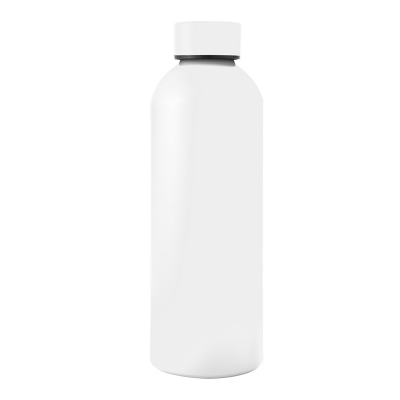 25  Oz. Blaire Recycled Aluminum Bottle