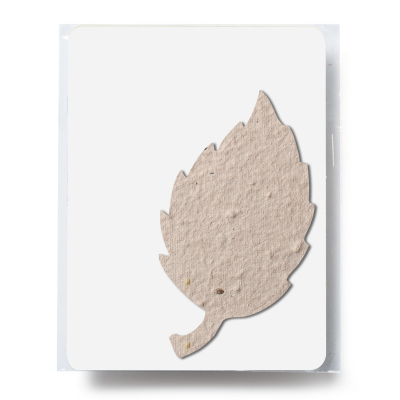 Bloomin® Aspen Shaped Plantable Gift Pack