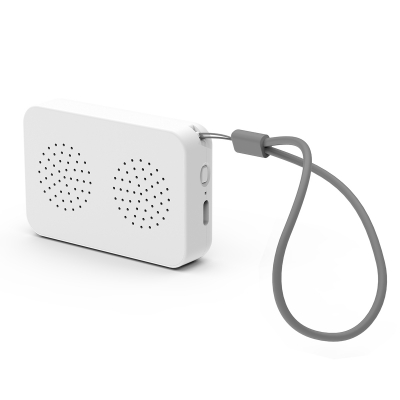 Powerstick Presto Pocket Speaker