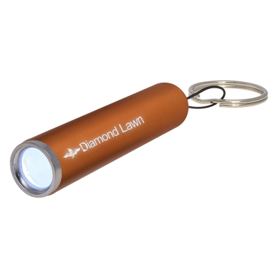 Ray Light Up LED Flashlight