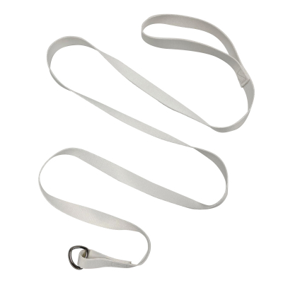 Pet Accessories
